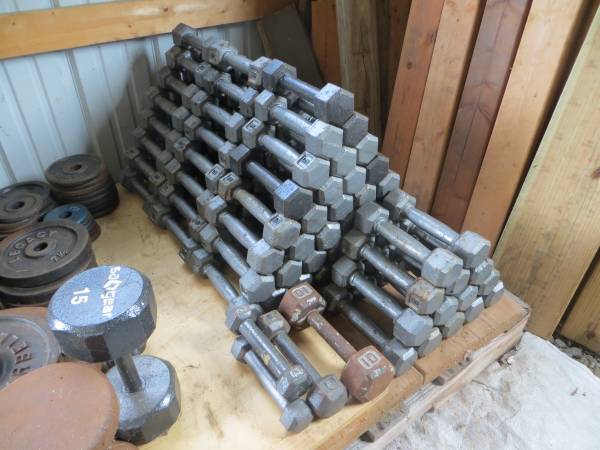 5-POUND IRON DUMBBELLS 1