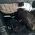 ♻️ 2017 CHEVROLET TAHOE LT 5.3L PARTING OUT 14 thumbnail