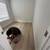 LOCAL 831 FLOOR INSTALLER, ALL THINGS FLOORING 21 thumbnail