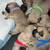 Frug(frenchy/pug) puppies 4 thumbnail