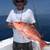 Offshore Canaveral Ponce Sebastian Fish and Dive Spots Waypoints 1 thumbnail
