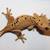 Ink Spot Crested Gecko 1 thumbnail