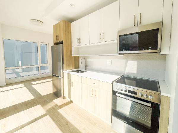 $2,799 / 1br - Beautiful Modern 1 Bedroom 1 Bath in the Heart of PLG (Prospect Lefferts Gardens)63788783929859122