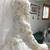Princess Beaded Wedding Gown with Train/Bustle & Veil - Size Medium 8 thumbnail