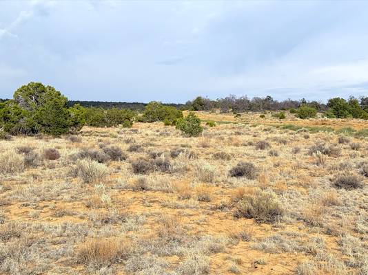 $9,150 Build Home & Park RV in 2.5 Acre at $150/m64290493440001120