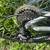 Specialized HR XC $300.00 OBO 4 thumbnail