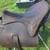 Collectors/antique/reenactment LOT of 3 Buena Vista leather plantation saddles 4 thumbnail