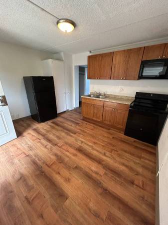 $1,100 / 1br - 400ft2 - Ocean View 1BD 1BA Apartment AVAILABLE NOW (Hilo)63939662168322120