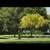 "ROSE HILLS memorial park."Gate Number (9) 2 thumbnail