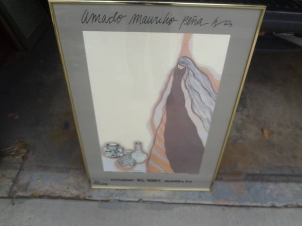 1981 Amado Pena framed and signed serigraph...edition of 65 1