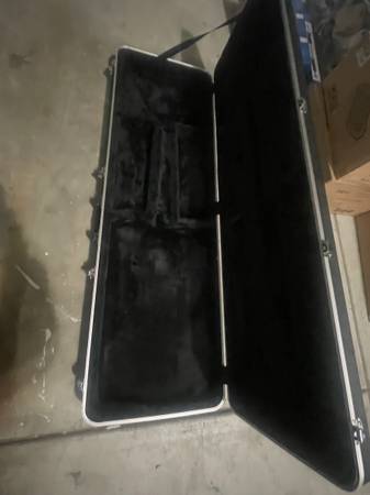 Gator Guitar Case 1