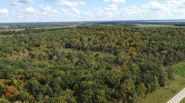 $199,900 20 Acres Prime HUNTING LAND near Richville MN (As Good As It Gets) (Richville)63990227383426122