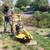 Stump grinder 6 thumbnail