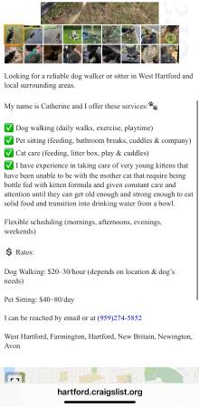 I Put a Dog Walking/Pet Sitting post and it gets removed, why? (West Hartford)64008392275714121
