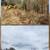 ShadowCat - Land Grading, Property Cleanup, Tree removal, Maintenance 18 thumbnail