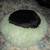 Soft n Fluffy Pet Bed 2 thumbnail