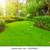 Landscaping services 3 thumbnail