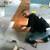 Handyman Pros. Painting lic. Ensurance 13 thumbnail