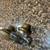 2 vintage door knobs 2 thumbnail