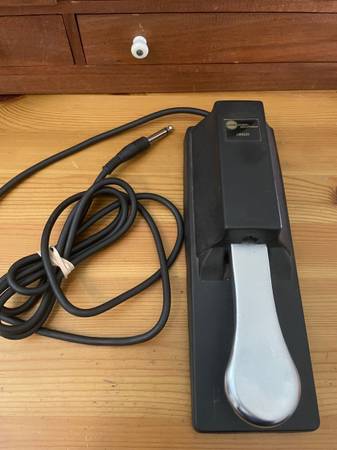 LiveWire Solutions Sustain Pedal 1