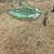 John Deere 4' mower deck 2 thumbnail