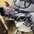 9 month Silver Spangled Hamburg Breeding Rooster - Well behaved 2 thumbnail