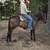 Horse 2 thumbnail