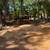 Stump grinding & tractor services 10 thumbnail
