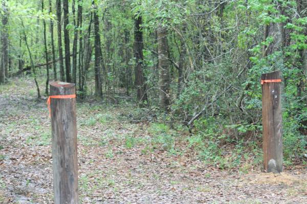$39,500 5.7 Acres of Woodlands between Kirbyville and Bon Wier on Co. Rd. 4060 (Bon Wier, Texas)64036373477379120