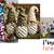 Pinecones 6 thumbnail