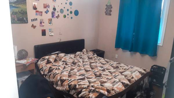 Fully Furnished Room for Females 1