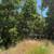 Buildable Lot along Uvas Reservoir 10+ Acres FINANCING 5 thumbnail