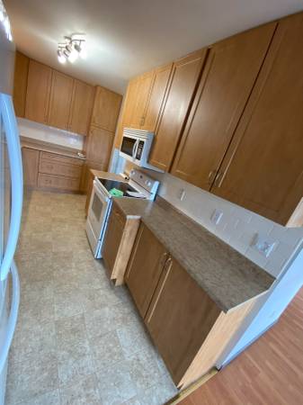 3 bed + mudroom/office room and 1.5 bath house for rent 2