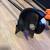 Electric lawnmower, weedeater, and yard edger 19 thumbnail