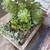 MEDIUM modern rectangular cement gray OUTDOOR pot/ planter 1 thumbnail