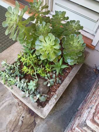 MEDIUM modern rectangular cement gray OUTDOOR pot/ planter 1