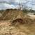 FREE - Fresh Horse Manure for Fertilizer 1 thumbnail
