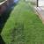 Bautista Landscaping 🌱 SYNTHETIC GRASS, PAVERS, CLEAN UPS... 19 thumbnail