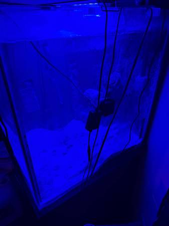 65 gallon cube saltwater tank571448176747499521