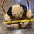 Stuffed Dog Holding Flat Wicker Basket 6 thumbnail