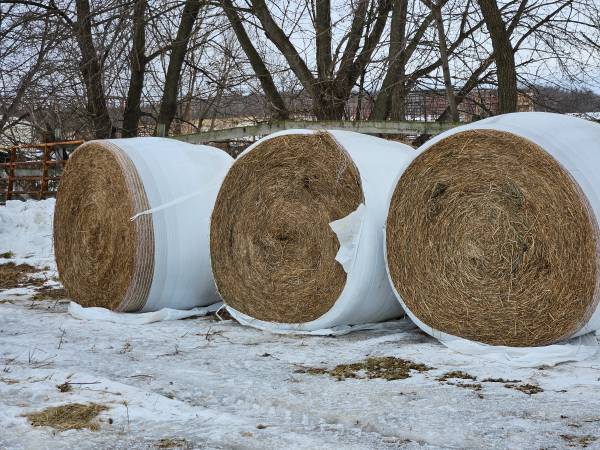 Round bales and small square bales for sale 1