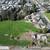 PRIME 5.8+/- ACRE DEVELOPMENT OPPORTUNITY ON SOQUEL DRIVE 4 thumbnail
