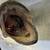 Vintage 18" Largemouth Fish Wall Mount Bass wall-mount taxidermy real 3 thumbnail