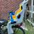Bike child carrier 2 thumbnail