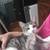 8 months of cat needs rehoming 2 thumbnail