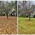 Scheduling Fall Cleanups 16 thumbnail