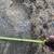 Stump Grinding-Stump Grinder- Stump Removal 13 thumbnail