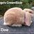 Mini Plush lops 4 thumbnail