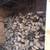 Professional firewood service 1 thumbnail