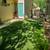 Flexible Lease Captivating  Furnished North Boulder Home 2 thumbnail